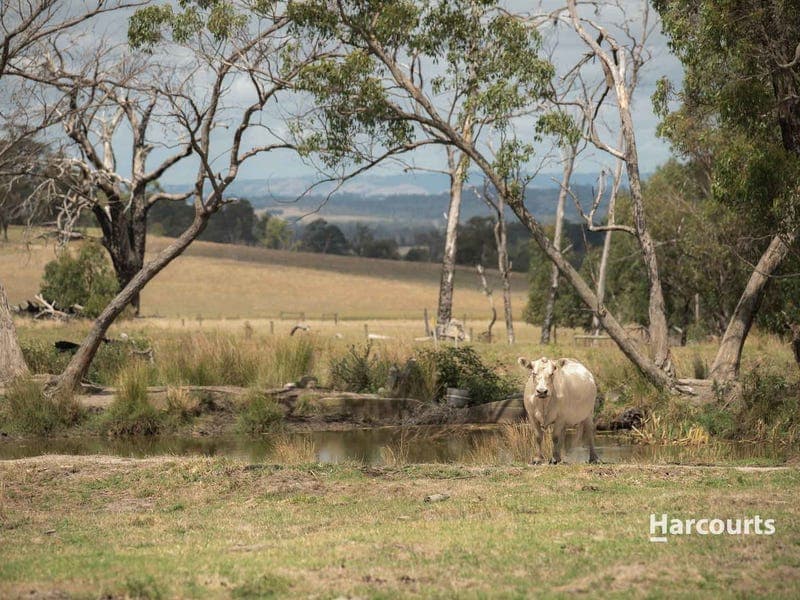 550 Garfield North Road, Garfield North