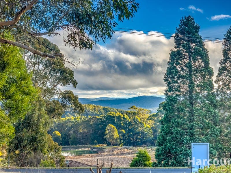 43 School Road, Erica