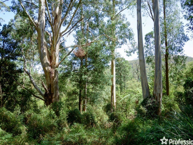 50 Coles Road, Three Bridges