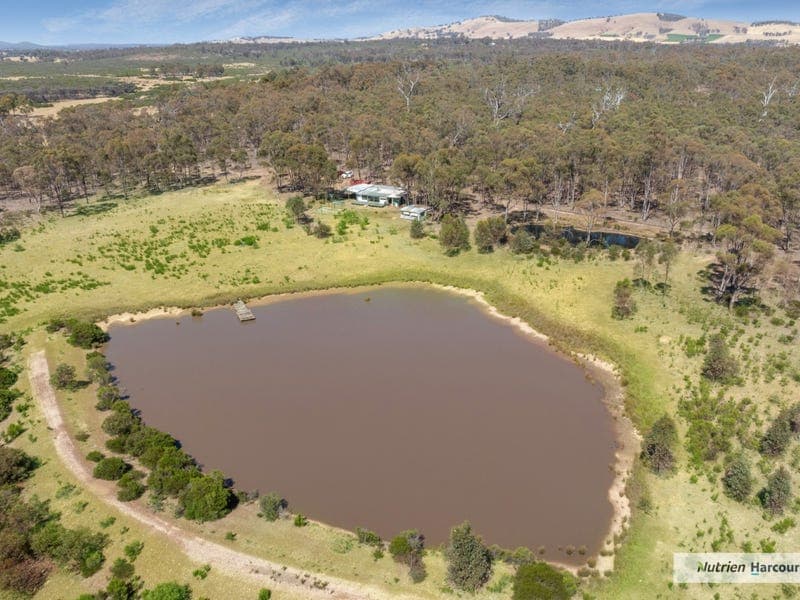175 Chamberlain Road, Cornella
