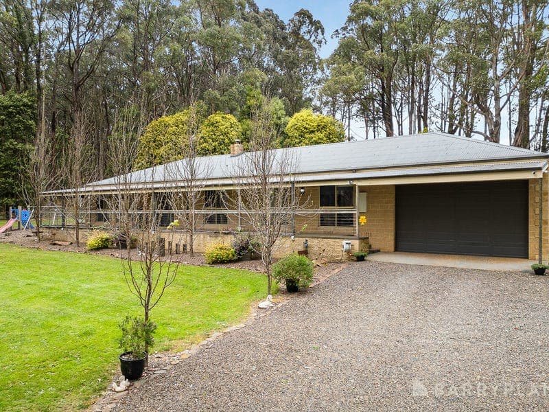 1349 Myers Creek Road, Toolangi