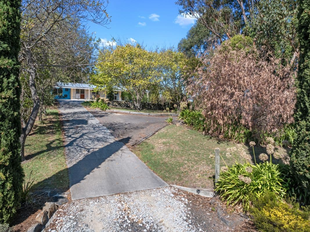 41 McKitterick Street