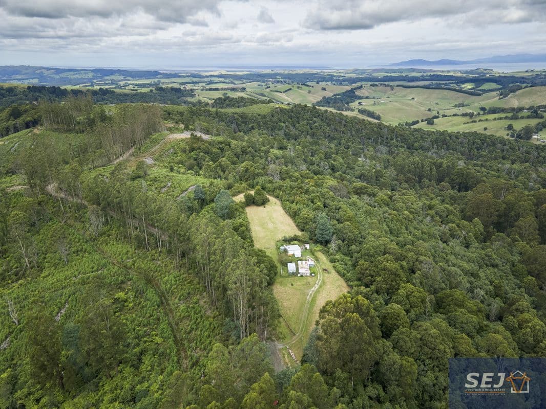 567 Devils Pinch Road