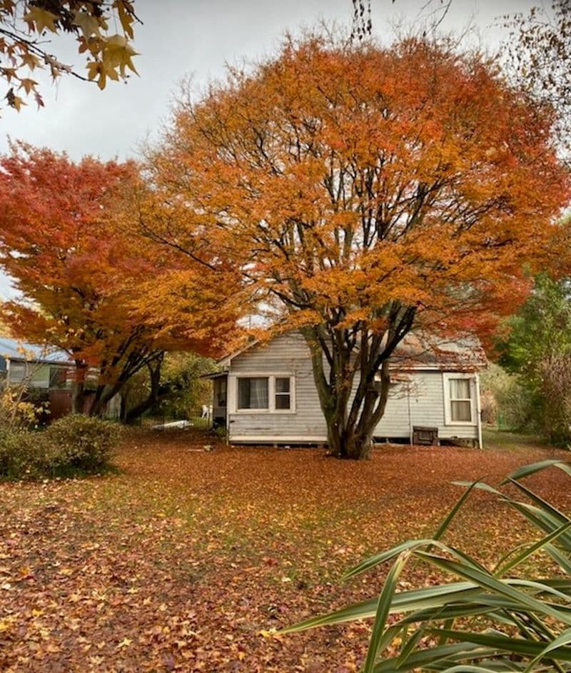 3321 Maroondah Highway