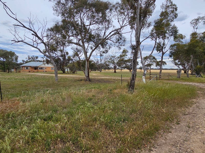 3320 Nhill-Yanac Road, Yanac