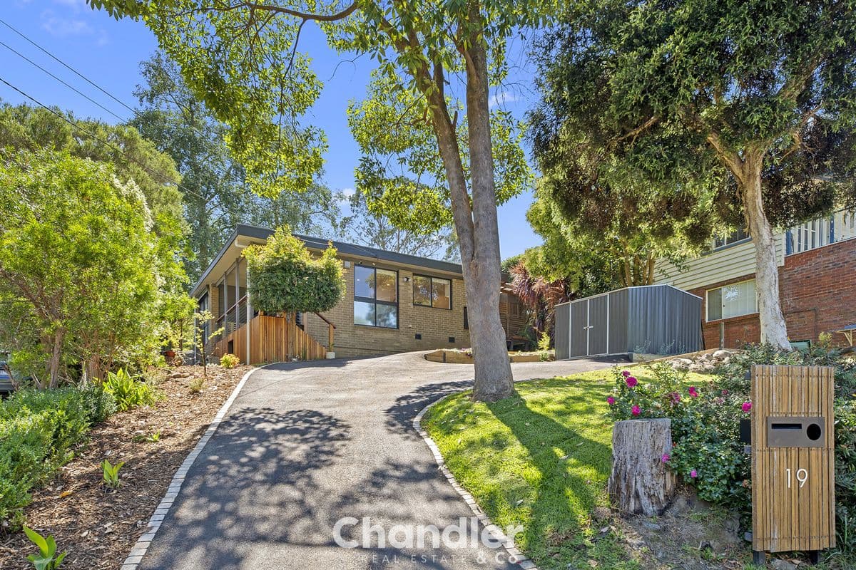 19 Bellbird Street