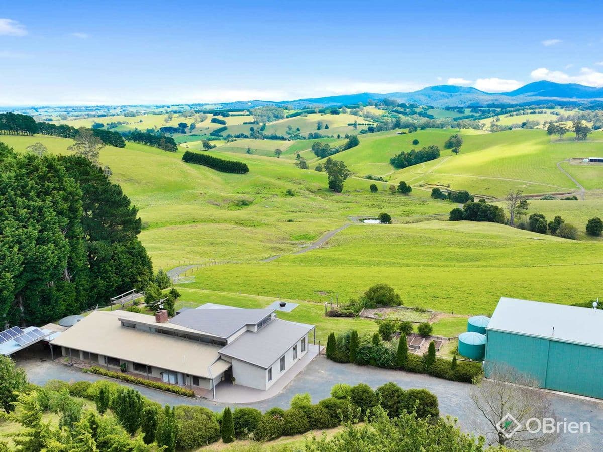 934 Neerim East Road