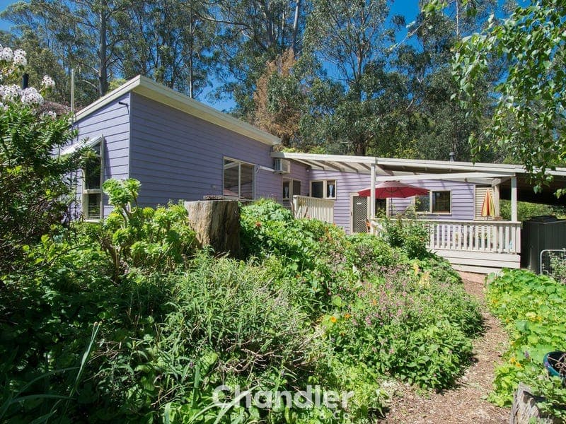 5 Jacksons Hill Road, Menzies Creek