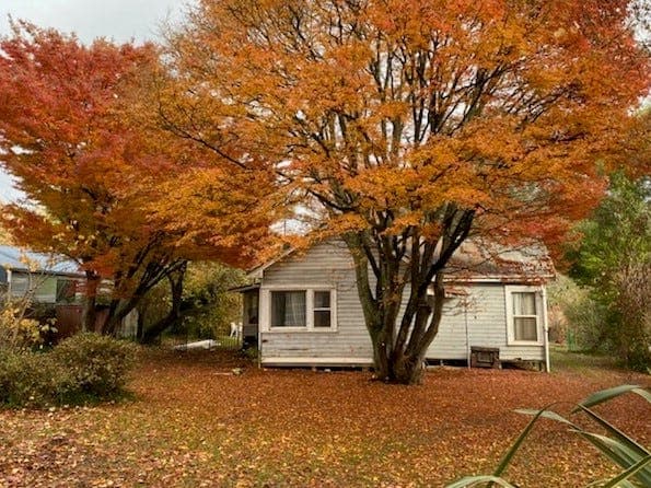 3321 Maroondah Highway, Taggerty