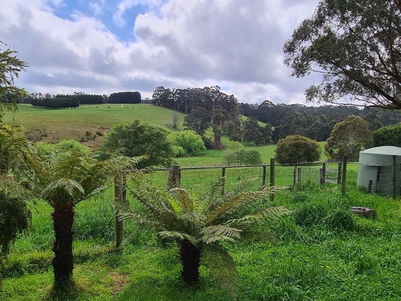 401 Mizpah Settlement Road, Buln Buln East