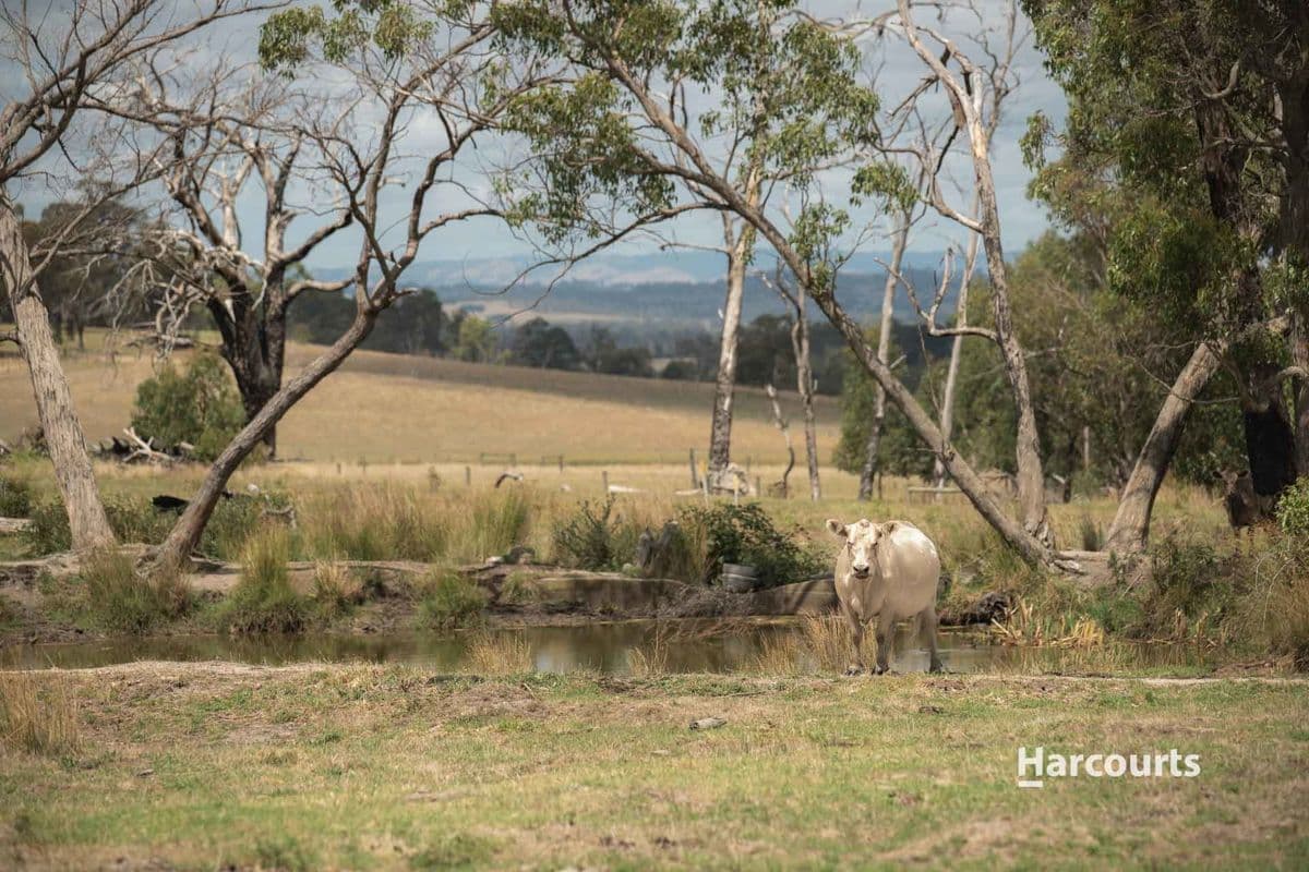 550 Garfield North Road