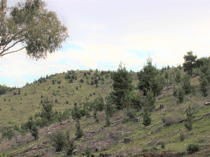 Lot 69, Mitchell Road