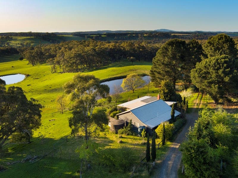 40 Weeks Lane, Lauriston