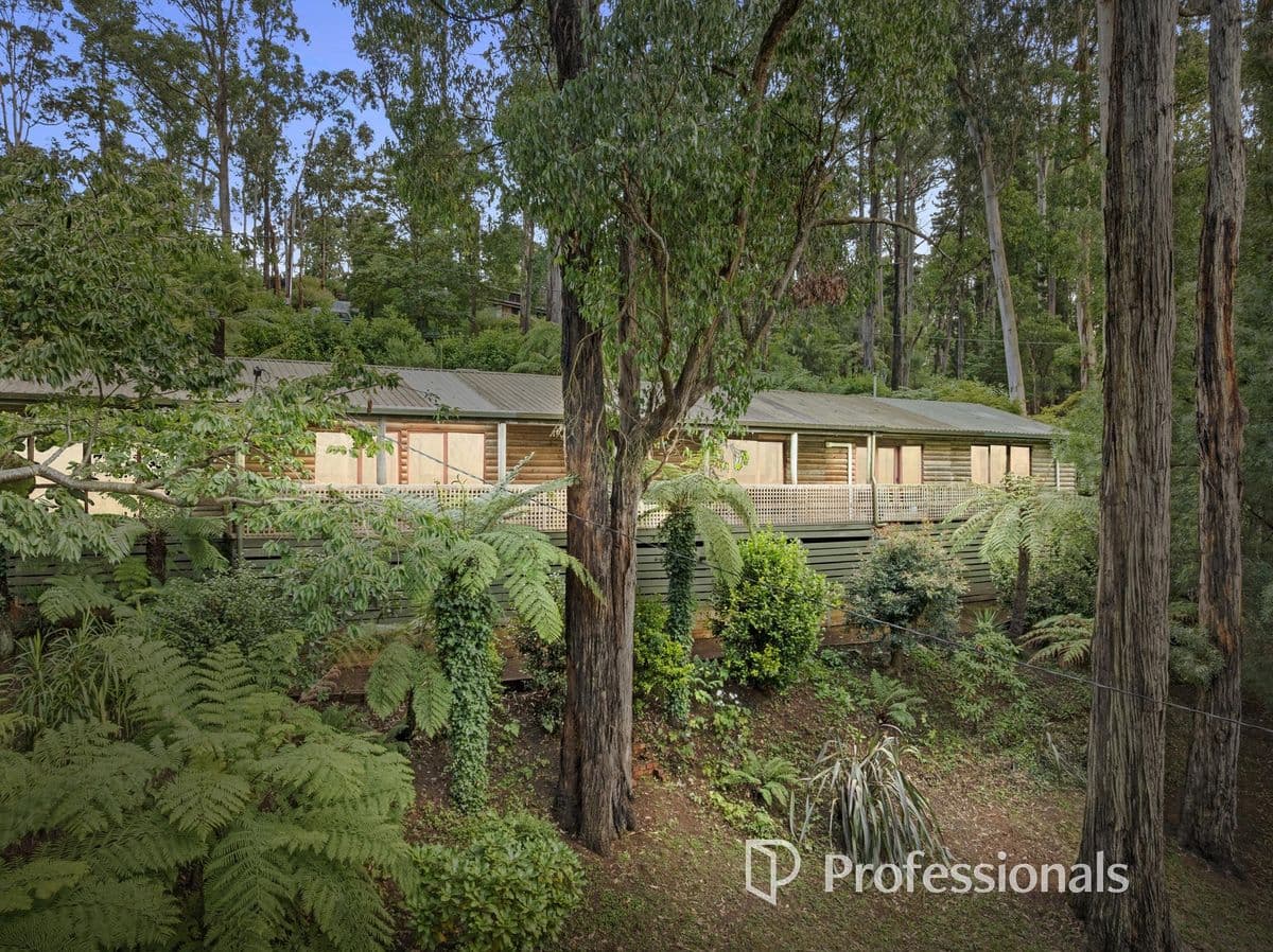 1152 MOUNT DANDENONG TOURIST ROAD