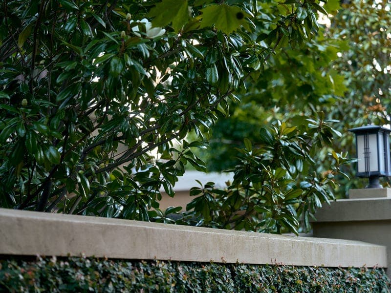 35 Mont Albert Road, Canterbury