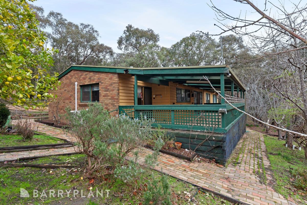 10 Eucalypt Grove