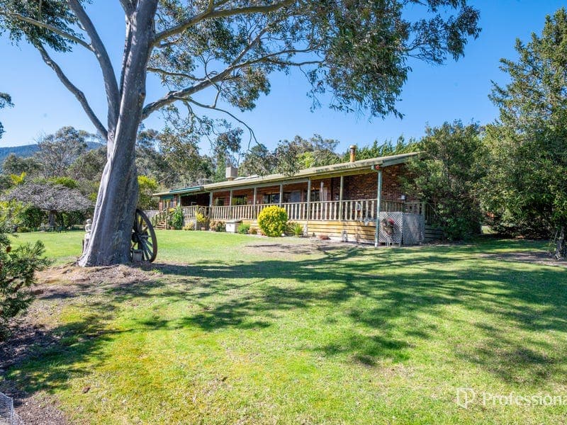 105 Williams Road, Don Valley