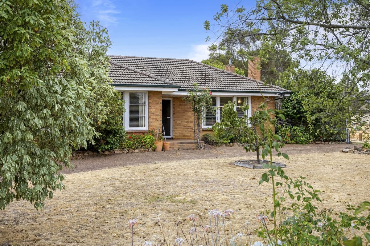 8 Ayrey Street