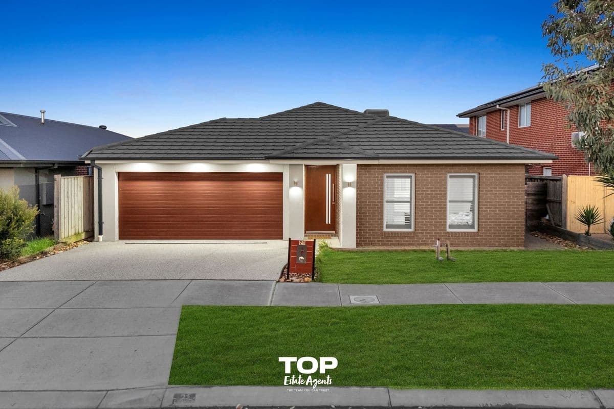 21 Lace Monitor Circuit