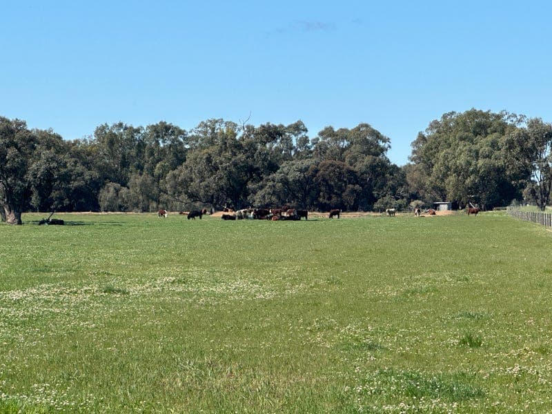 193 Cullen Park Road, Cullen