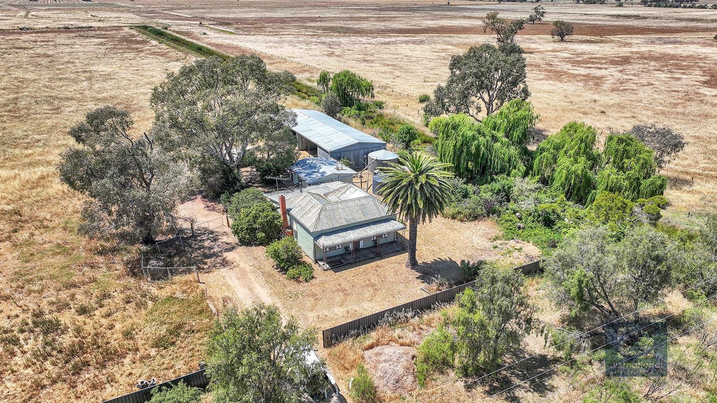 4098 BENDIGO - PYRAMID ROAD