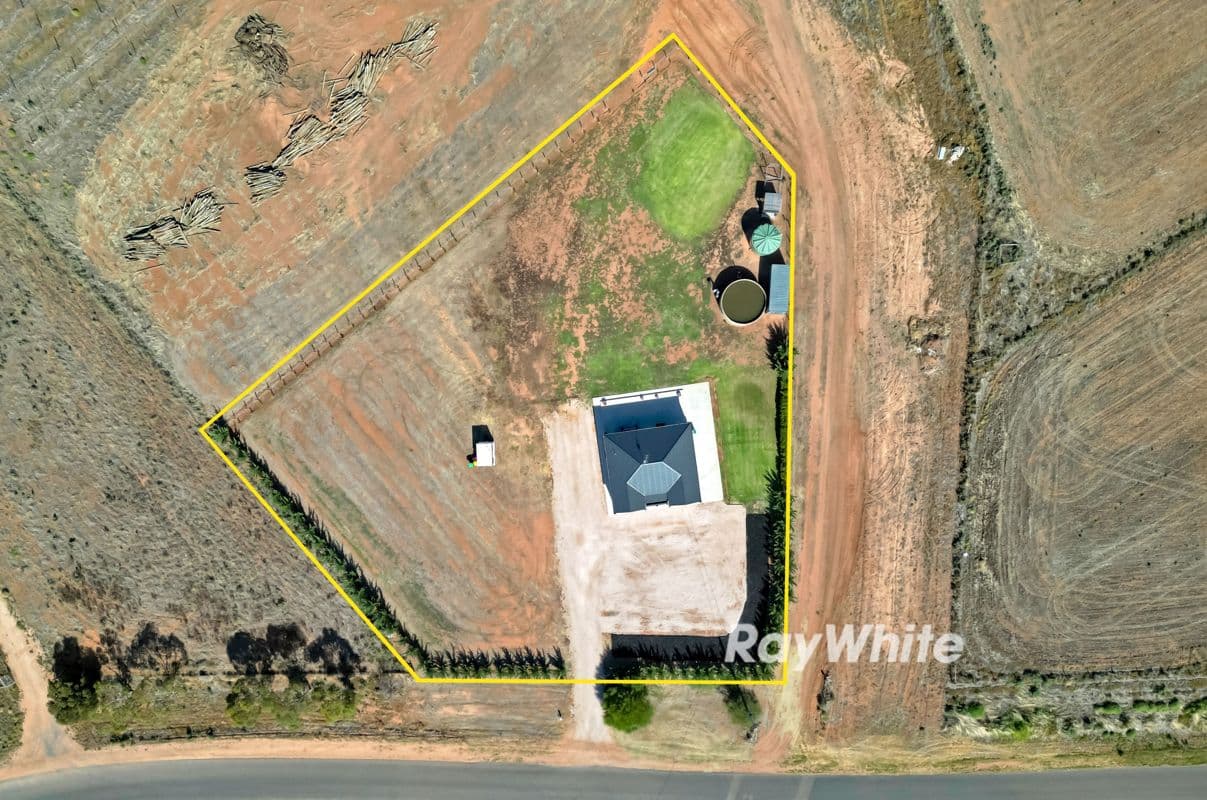 335 Boomerang Avenue