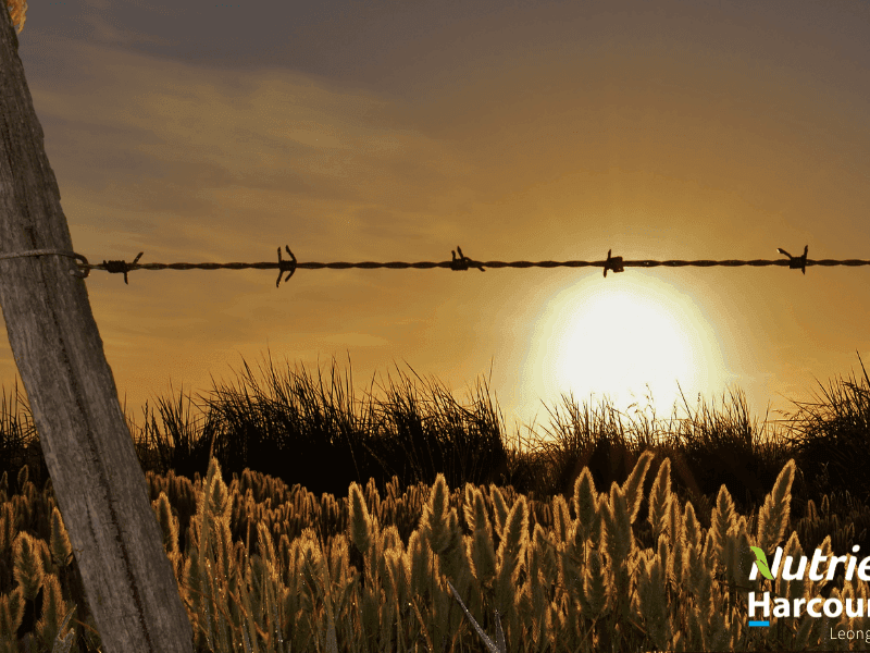 28 Farmers Road, Dumbalk