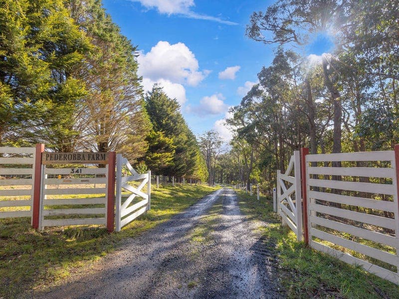 341 Aldreds Lane, Colbrook