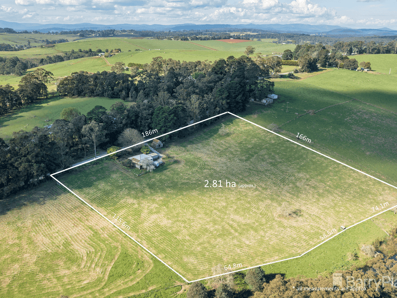 16 Mount Burnett Road