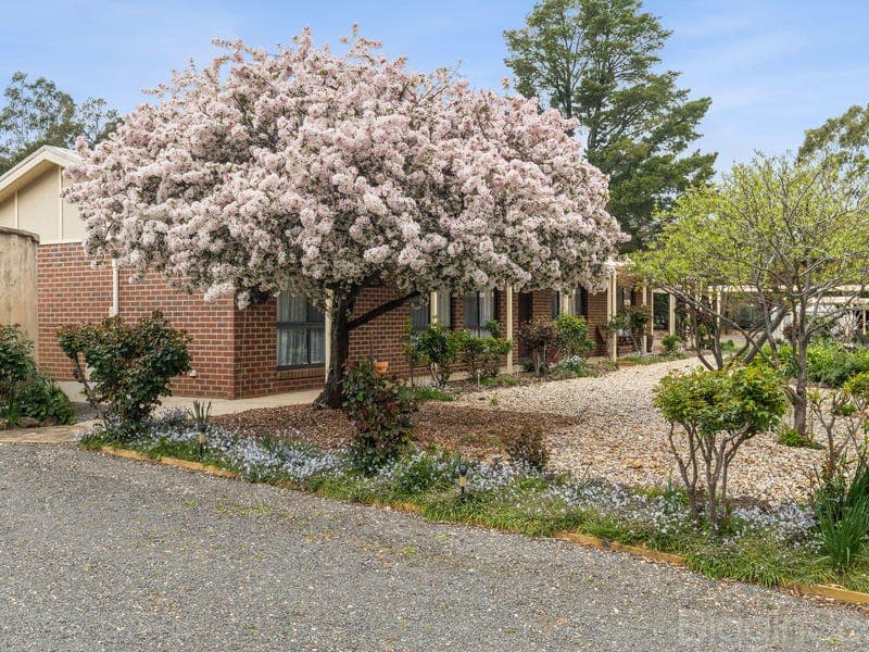 492 Maldon-Newstead Road, Welshmans Reef