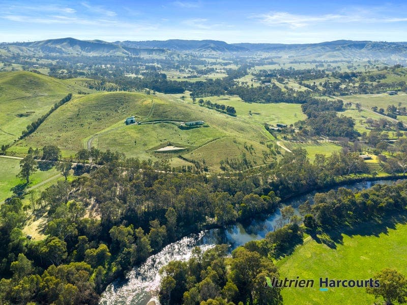 80 Brooks Cutting Road, Koriella