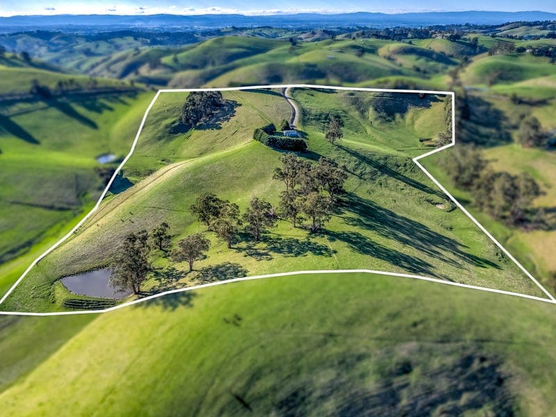 91 Mountain View-McDonalds Track, Mountain View