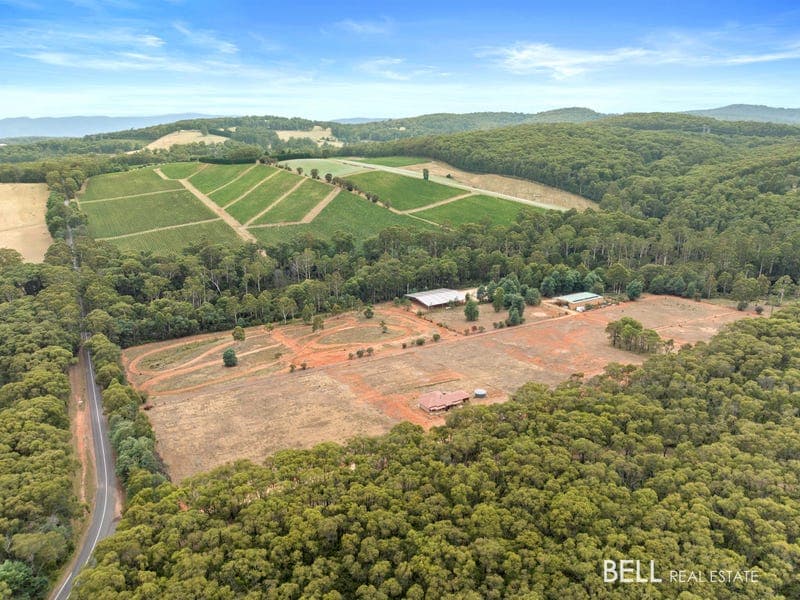 1555 Gembrook-Launching Place Road, Beenak