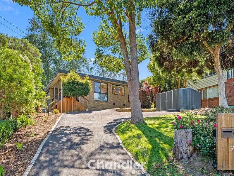 19 Bellbird Street, Belgrave