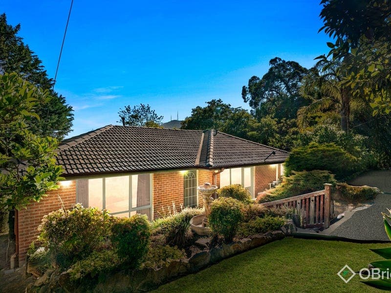 1375 Mountain Highway, The Basin