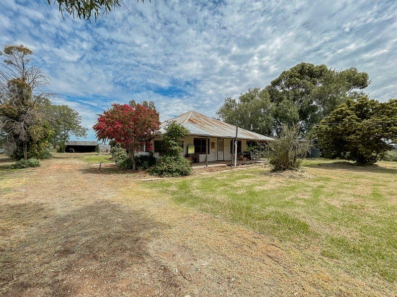 58 McInnes Road, Tyntynder